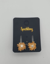 Women earing Jewelry